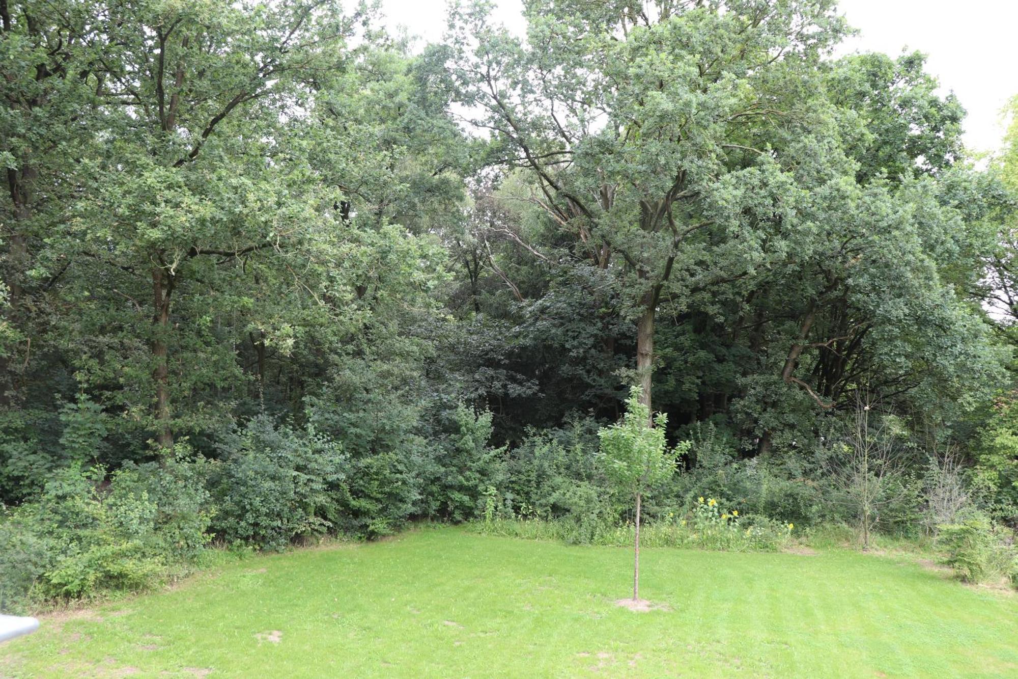 Wijkd Apartment Leende ภายนอก รูปภาพ